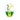 La Virgen