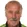 Del Bosque
