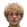 A. Hvid
