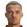 D. Tijanic