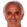 Vahid Halilhodžić