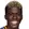 G. Zardes