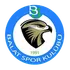 Balatspor