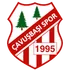 Çavuşbaşı