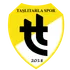 Taşlıtarlaspor