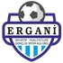 Ergani Sportif