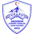 Olimpik Adımlar
