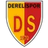Derelispor