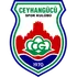 Ceyhangücü