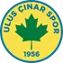 Ulus Çınar