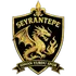 Seyrantepe İ.Y.