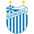 Goytacaz