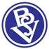 Bremer SV