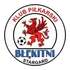 Blekitni S.