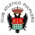 Pulpileno