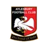 Aylesbury Vale Dynamos
