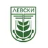 OFK Levski