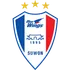 S. Bluewings