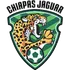 Jaguares