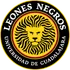 Leones Negros