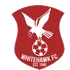 Whitehawk