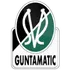SV Ried