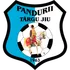 Pandurii