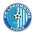 L. Kosice