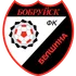 Belshina