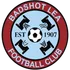 Badshot