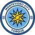 Torque