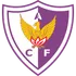 Atletico Fenix