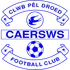 Caersws