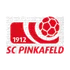 Pinkafeld
