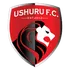 Ushuru