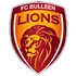 B. Lions (K)