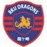 Dragons