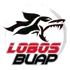Lobos