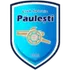 Pauleşti