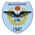 Zeleznicar