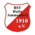 HalleAmmendorf
