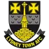 Lydney Town