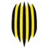 Rukh Vynnyky