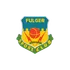 Fulger
