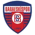 Babaeskispor
