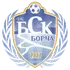 BSK Borca