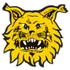 Ilves II (K)