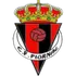 Piornal
