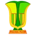 Palmaflor