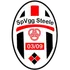 Steele